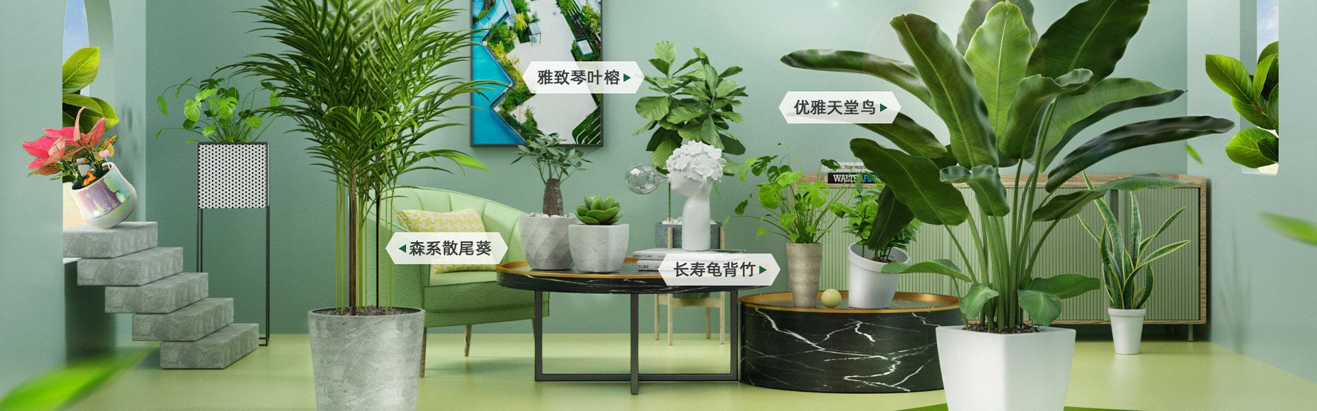 首頁綠植租擺
